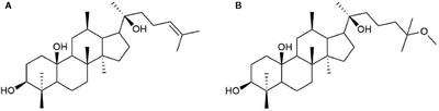 Natural Product Ginsenoside 20(S)-25-Methoxyl-Dammarane-3β, 12β, 20-Triol in Cancer Treatment: A Review of the Pharmacological Mechanisms and Pharmacokinetics